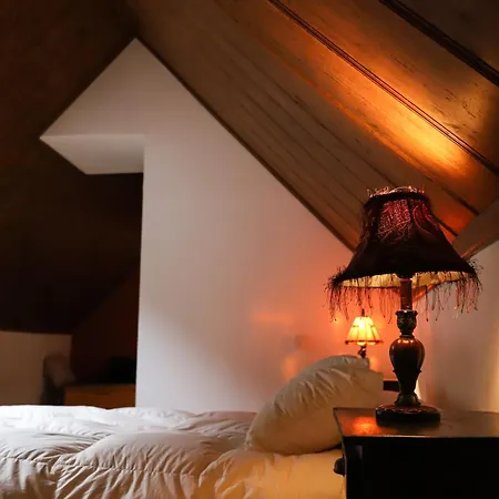 Precioso Atico Duplex En Canfranc, Casa Marco * Канфранк